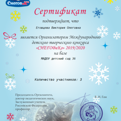 Сертификат организатора Международного детского творческого конкурса "СнеговиКо"